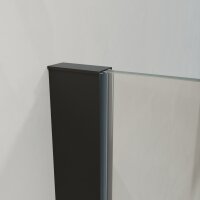 Duschwand Begehbare Dusche Duschabtrennung ZELARO Nano Schwarz 8mm 120 x 200 cm