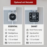 Design Flachheizkörper Paneelheizkörper elektrisch TAYLOR Horizontal Doppellagig Weiß inkl. Heizstab 100 x 60