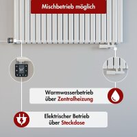 Design Flachheizkörper Paneelheizkörper elektrisch TAYLOR Horizontal Doppellagig Weiß inkl. Heizstab 100 x 60