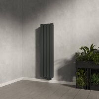 Paneelheizkörper Flachheizkörper LAVA ECO Vertikal Doppellagig Anthrazit 30 cm 120 cm Paneelheizkörper Flachheizkörper LAVA ECO Vertikal Doppellagig Anthrazit 30 cm 120 cm