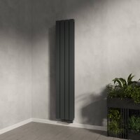 Paneelheizkörper Flachheizkörper LAVA ECO Vertikal Doppellagig Anthrazit 30 cm 160 cm Paneelheizkörper Flachheizkörper LAVA ECO Vertikal Doppellagig Anthrazit 30 cm 160 cm