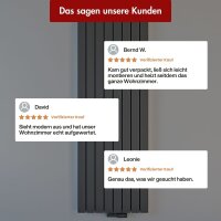 Paneelheizkörper Flachheizkörper LAVA ECO Vertikal Doppellagig Anthrazit 46 cm 160 cm