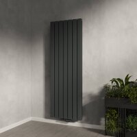 Paneelheizkörper Flachheizkörper LAVA ECO Vertikal Doppellagig Anthrazit 53 cm 160 cm Paneelheizkörper Flachheizkörper LAVA ECO Vertikal Doppellagig Anthrazit 53 cm 160 cm