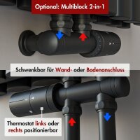 Design Flachheizkörper Paneelheizkörper TAYLOR Horizontal Doppellagig Schwarz inkl. Heizstab und Thermostatventil 100 x 60 cm