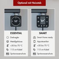 Design Flachheizkörper Paneelheizkörper elektrisch TAYLOR Horizontal Doppellagig Schwarz inkl. Heizstab SMART und Glykol 100 x 60 cm